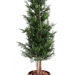 Pegane Plante artificielle haute gamme Spécial extérieur / Cyprès artificiel DE LAWSON UV résistant - Dim : 180 x 60 cm