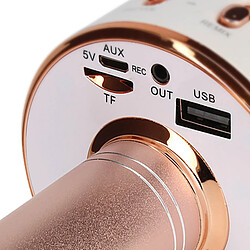 Avizar Micro Karaoké Bluetooth Haut-parleur intégré Boutons Multifonctions Rose Champagne