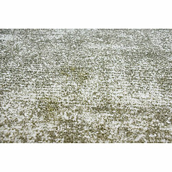 Avis Paris Prix Tapis Vintage Tissé à la Main Etna Argent & Vert 120 x 170 cm