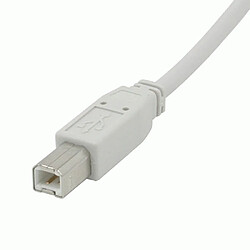 Cables To Go C2G 1m USB 2.0 A/B Cable câble USB USB A USB B Blanc