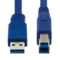 Câble Imprimante, scanner de 2 mètres USB 3.0 (USB A mâle vers USB B mâle) Bleu Esperanza