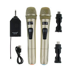 1 Microphone Micro Sans Fil Haute Sensibilité Mike Avec Câble USB Pour Récepteur