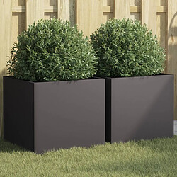 vidaXL Jardinières 2 pcs Noir