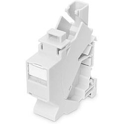 ASSMANN Electronic DIN-Rail Adapter for Keystone