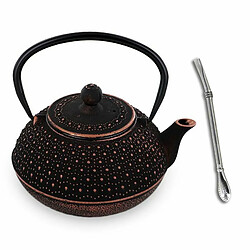 Aromandise Théière en fonte chinoise Sui 0,8 L + paille inox avec filtre