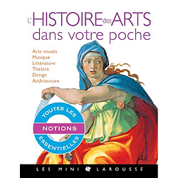 L'histoire des arts dans votre poche : arts visuels, musique, littérature, théâtre, design, architecture : toutes les notions essentielles - Occasion