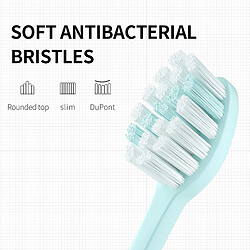 Acheter Universal Brosse à dents électrique à son rechargeable 5 modes étanche tête de brosse à dents électrique à charge rapide adulte S2 couple cadeau | Brosse à dents électrique