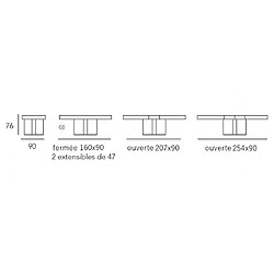 Acheter Inside 75 Table repas extensible TOTEM 10 couverts 160/254x90cm pied bois plateau noyer