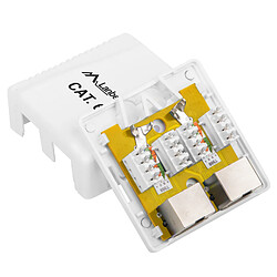 Prise en saillie Lanberg avec 2 x RJ45 Cat.6 FTP blindé