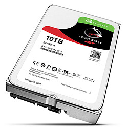 Seagate Technology Seagate IronWolf 10 To