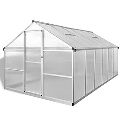 VidaXL Serre Aluminium 9,025 m² - Base Incluse