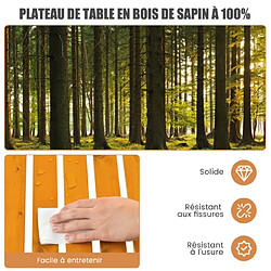 Avis Helloshop26 Table de camping pliante avec sac de transport pour pique-nique plage barbecue camping pêche naturel 20_0005169