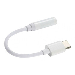 Acheter Câble d'adaptateur audio USB 3.1 type C mâle vers 3.5 mm AUX femelle pour écouteurs, blanc