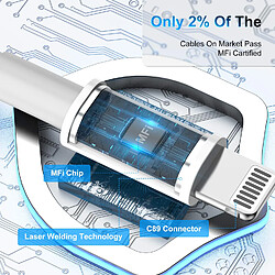 Cable compatibles avec iPhone 14/13/12/11/X/XR/XS Max/SE- Little Boutik© USB 2M - Little Boutik©