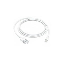 Apple Câble USB Lightning to USB - Occasion