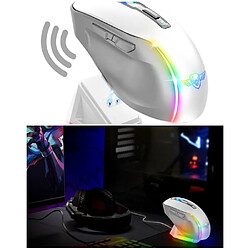 Avis Spirit of Gamer Souris Sans fil M50 2.4ghz 8000DPI 6 BOUTONS RGB rechargeable + station de charge élégante RGB