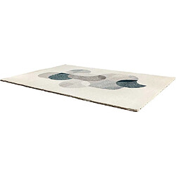 Acheter Vivaraise Tapis en polypropylène paon Aina 200 x 290 cm.