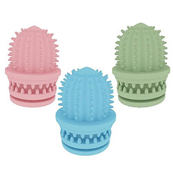 2 Pcs Jouets de nettoyage de dents pour animaux de compagnie Cactus résistant à l'eau