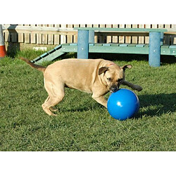 Avis Company of Animals Jouet Chien Boomer Ball 20 cm