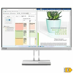 Acheter Écran Lenovo L24e-40 Full HD 23,8" 100 Hz