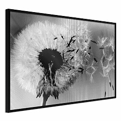 Paris Prix Affiche Murale Encadrée Dandelion in the Wind 30 x 20 cm Noir