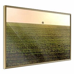 Paris Prix Affiche Murale Encadrée Farmland 90 x 60 cm Or