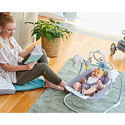 Acheter Kinderkraft Balancelle bébé MINKY Rose et gris