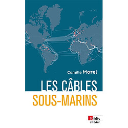 Les câbles sous-marins : enjeux et perspectives au XXIe siècle - Occasion