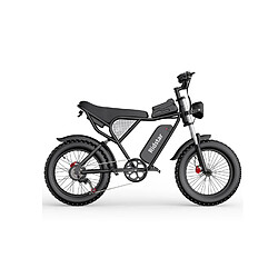 Avis Vélo Électrique Ridstar Q20 - Moteur 750W Batterie 48V20Ah Pneus 20" Freins à Disque Hydrauliques - Noir