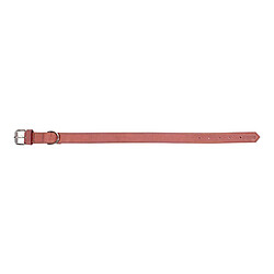 Avis Collier pour Chien Gloria Oasis Rose (60 x 3 cm)