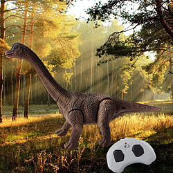 Réaliste Enfants RC Dinosaure Rugissant éducatif Sons 360 Rotation Cascadeur Brachiosaure pas cher