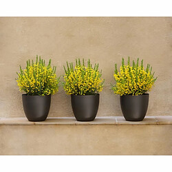 PLASTIKEN Pot de fleurs bol Tes - 22 cm - Anthracite