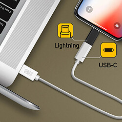 Acheter Avizar Adaptateur iPhone Lightning vers USB-C femelle Charge et Synchro - Noir