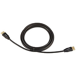 Basics Câble DisplayPort vers DisplayPort - 3 m pas cher