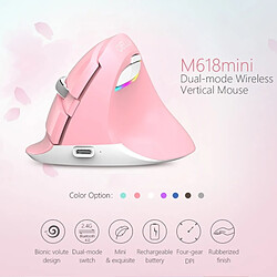 Avis Wewoo Souris sans fil verticale ergonomique rechargeable USB DELUX M618 Mini 2.4G 2400DPI rose