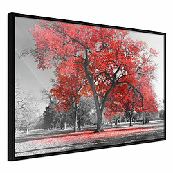 Paris Prix Affiche Murale Encadrée Red Tree 30 x 20 cm Noir