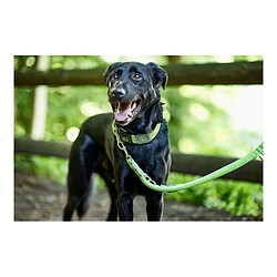 Avis Laisse pour Chien Hunter HILO Citron (200 cm)