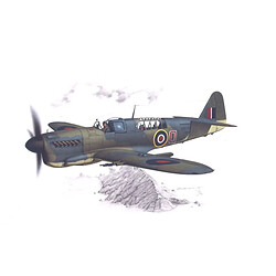 Fairey Firefly Mk.I "Home Fleet" - 1:48e - Special Hobby