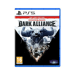 Deep Silver Dungeons et Dragons Dark Alliance Day One Edition PS5