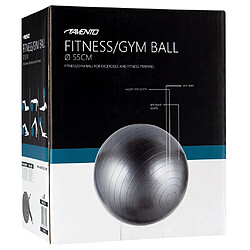 Avis Avento Ballon de fitness/d'exercice Diamètre 55 cm Argenté