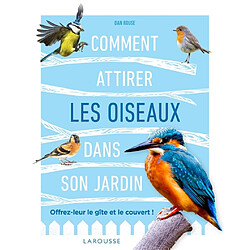 Comment attirer les oiseaux dans son jardin : offrez-leur le gîte et le couvert !