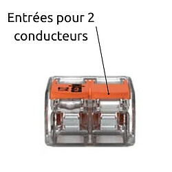 Borne de raccordement S221 Compact - Connexion rapide - 2 conducteurs avec leviers 4mm² - orange - Wago