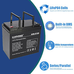 Acheter Batterie de secours au lithium HANIWINNER HD009-07 12,8 V 54 Ah LiFePO4, 691,2 Wh d'énergie, plus de 2 000 cycles, BMS intégré