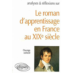 Le roman d'apprentissage en France au XIXe siècle