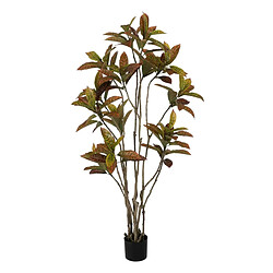 BigBuy Home Plante décorative Caoutchouc polypropylène 60 x 60 x 150 cm