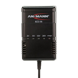 Ansmann Chargeur de batteries ALCS 2-24 A Noir 900 mA 9164016 pas cher