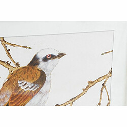 Cadre DKD Home Decor Oiseau (60 x 2,5 x 60 cm) (4 Unités)