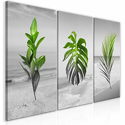 Paris Prix Tableau Imprimé Plants Collection 30 x 60 cm