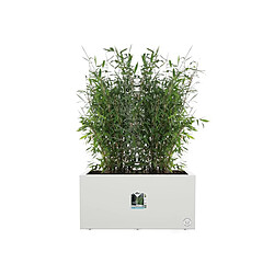 Jardinière rectangle en plastique 60 x 30 cm Elho Vivo Long - blanc