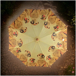 Acheter Kids In The Garden Parapluie enfant out of Africa Suricate